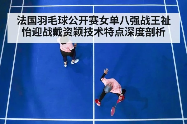 法国羽毛球公开赛女单八强战王祉怡迎战戴资颖技术特点深度剖析